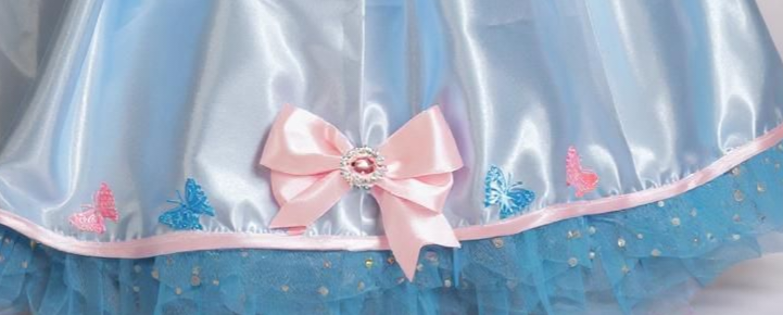 Disney Princess Cinderella Butterfly Tutu Dress