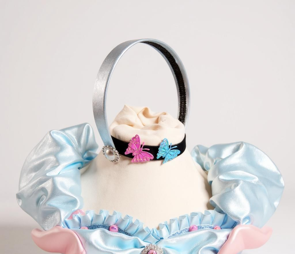 Disney Princess Cinderella Butterfly Tutu Dress