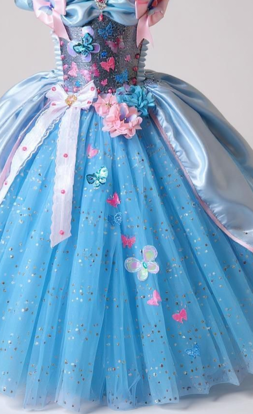 Disney Princess Cinderella Butterfly Tutu Dress