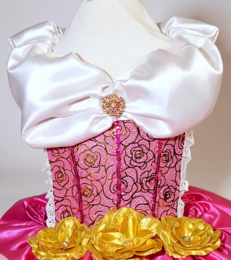Disney Princess Deluxe Aurora Sleeping Beauty Inspired Tutu Dress