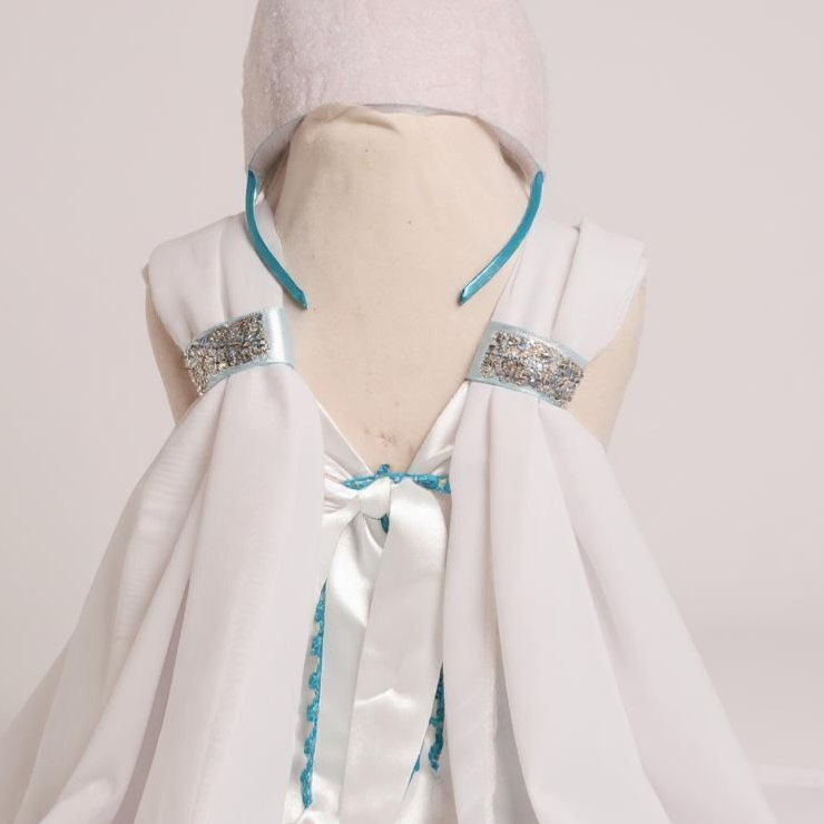 Disney Princess Elsa Frozen Inspired Blue Tutu Dress