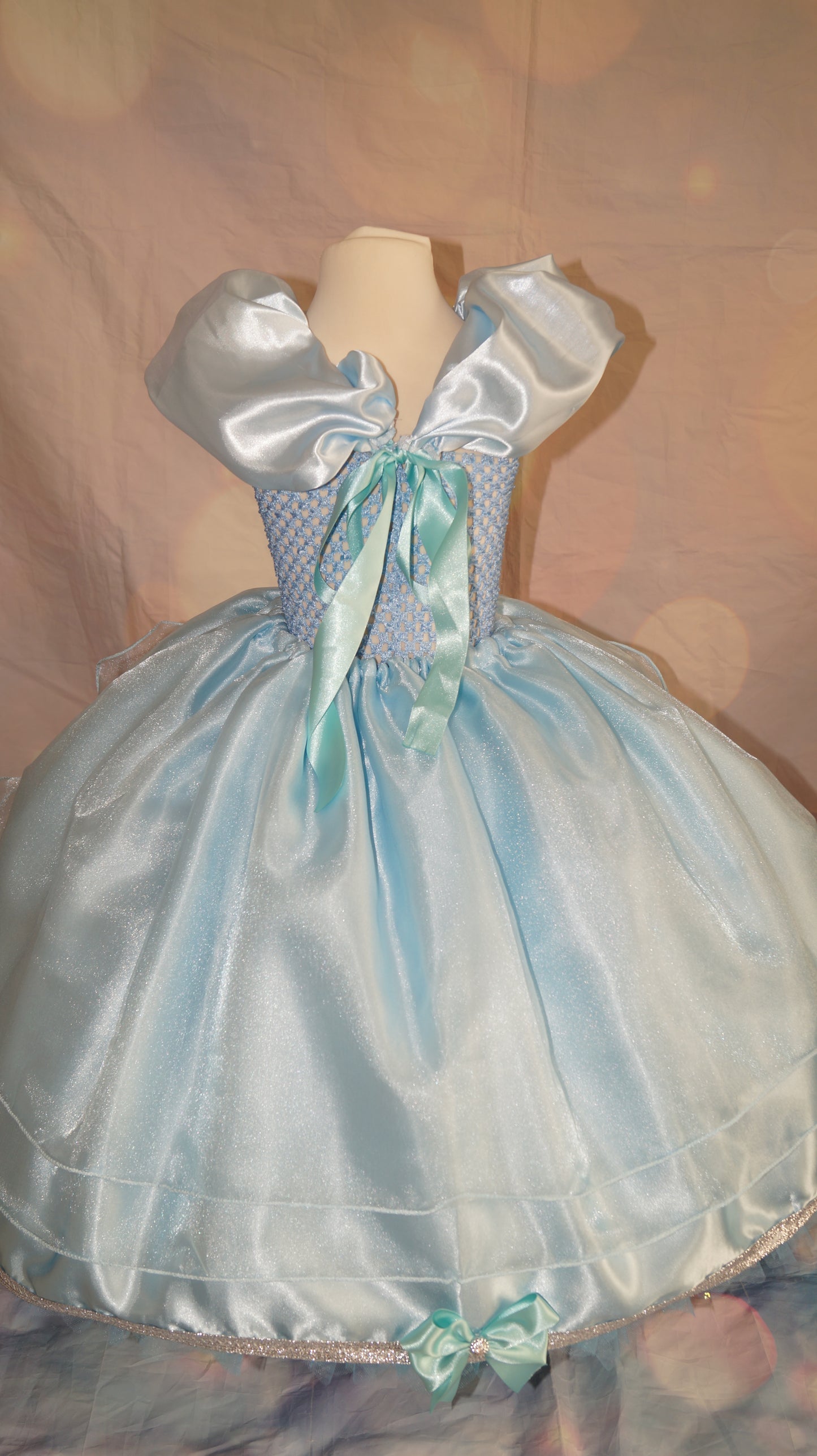 Disney Princess Light Blue Cinderella Tutu Dress