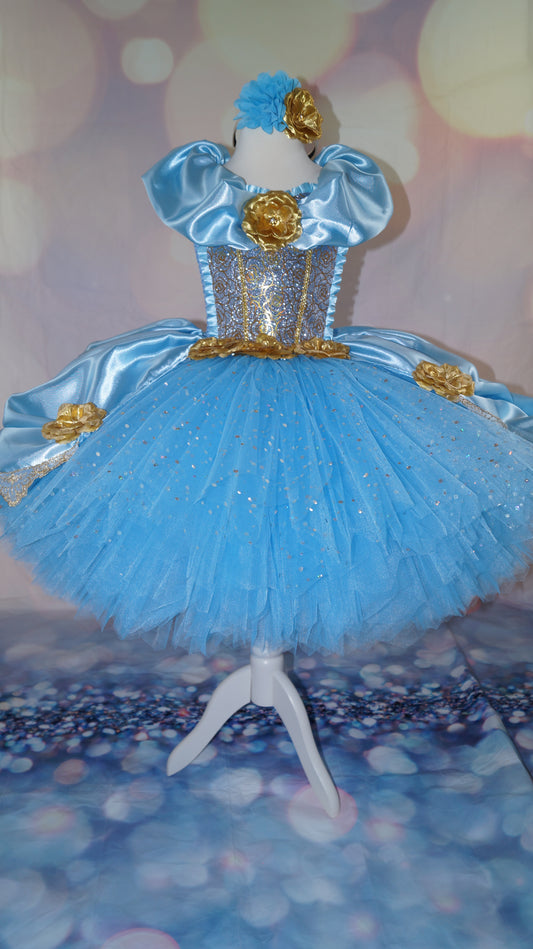 Disney Princess Deluxe Cinderella Gold Rose Tutu Dress