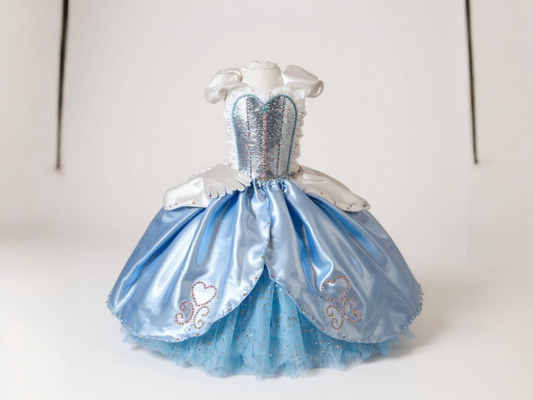 Disney Princess Deluxe Rhinestone Cinderella Tutu Dress