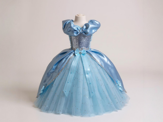 Disney Princess Blue and Silver Cinderella Tutu Dress