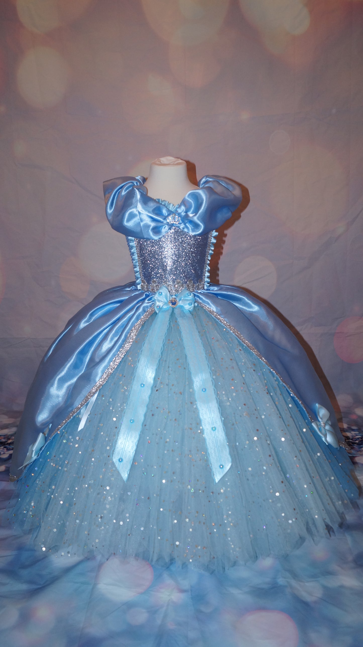 Disney Princess Blue and Silver Cinderella Tutu Dress