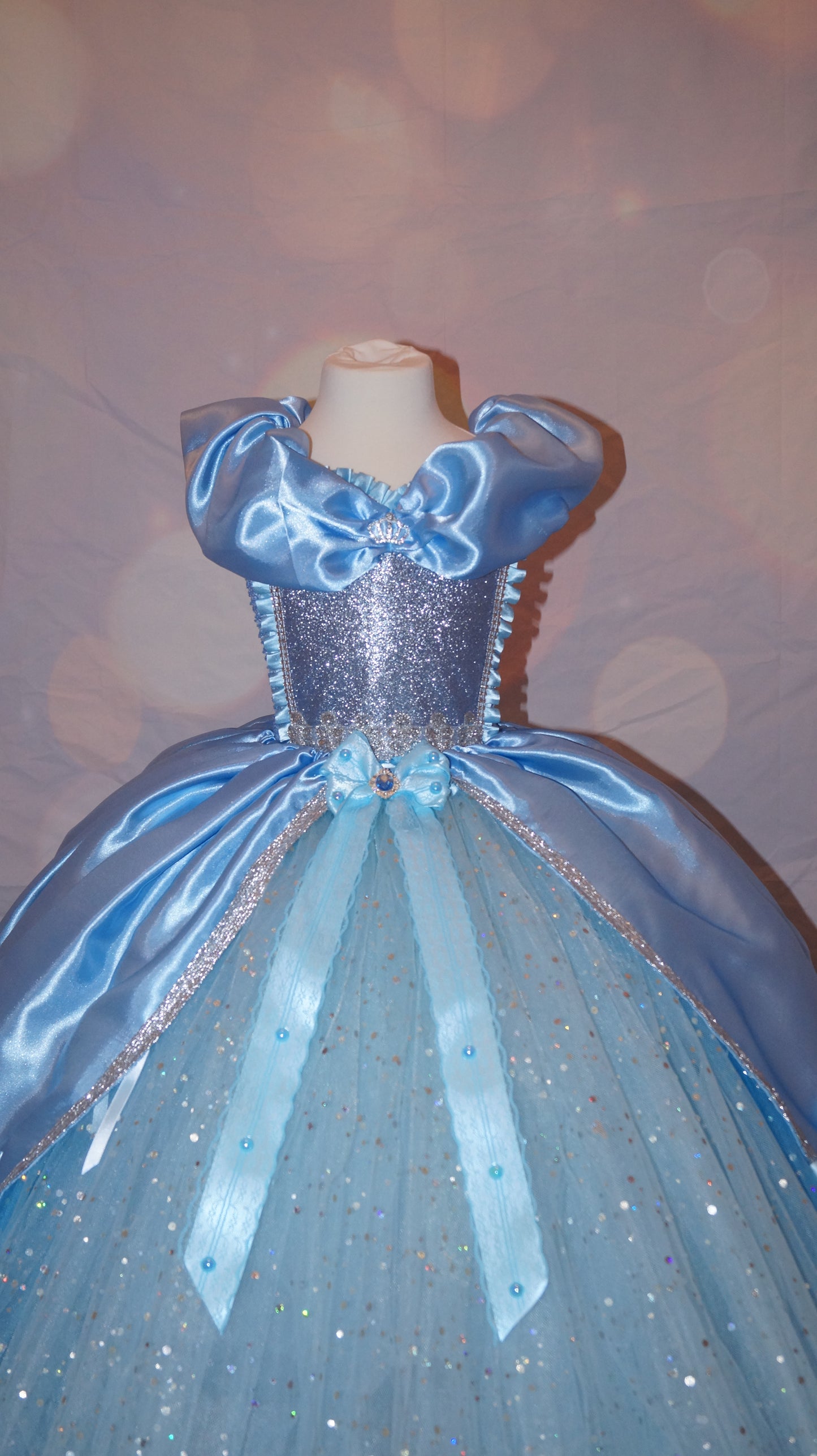 Disney Princess Blue and Silver Cinderella Tutu Dress