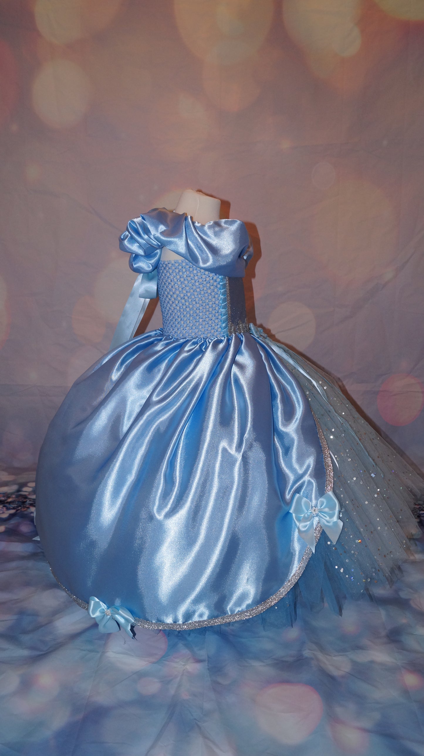 Disney Princess Blue and Silver Cinderella Tutu Dress