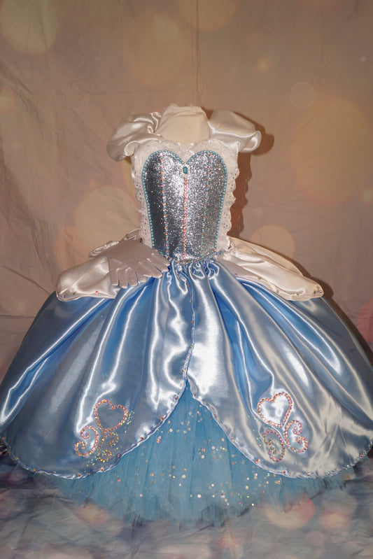 Disney Princess Deluxe Rhinestone Cinderella Tutu Dress