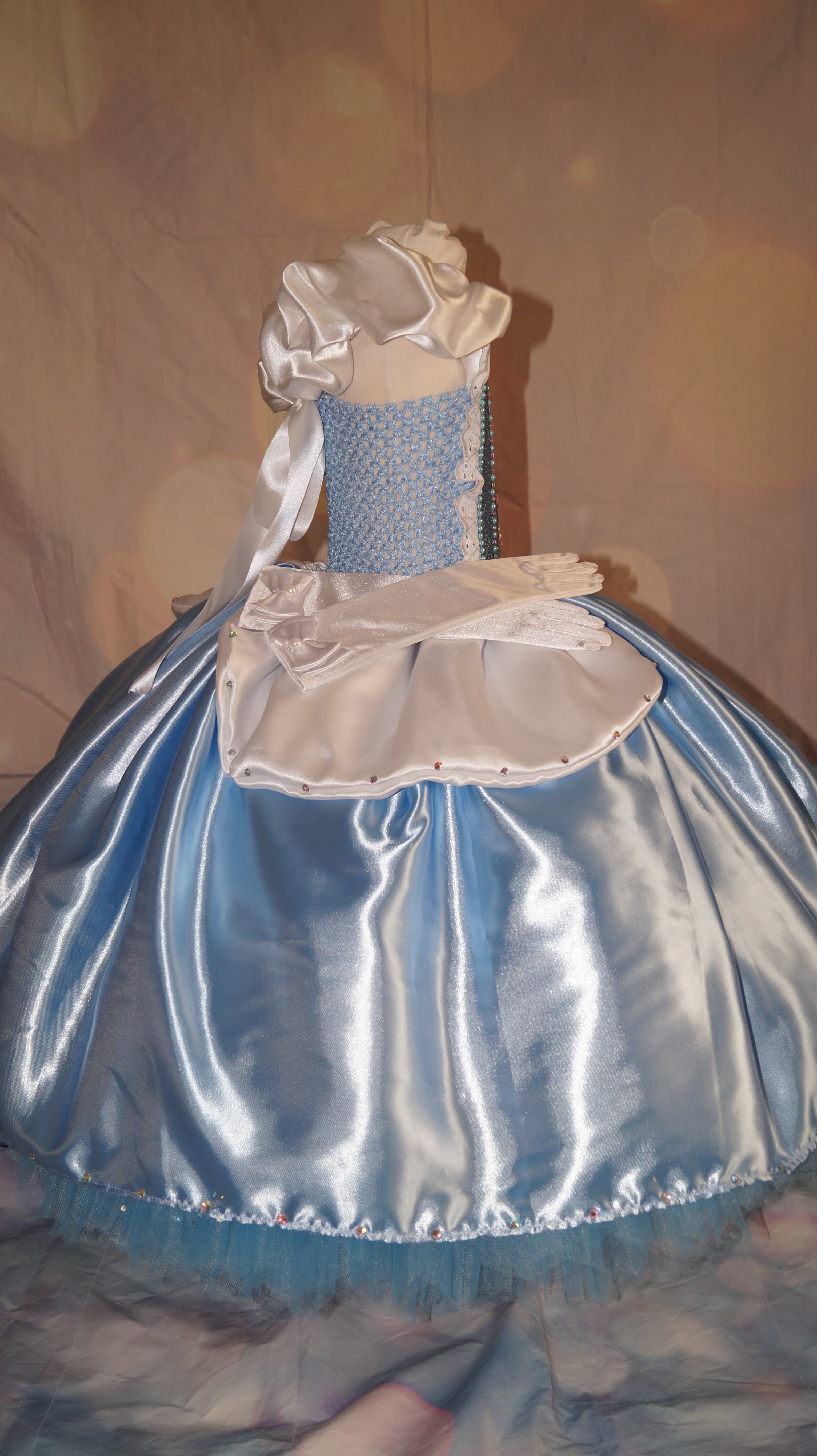 Cinderella tutu hot sale