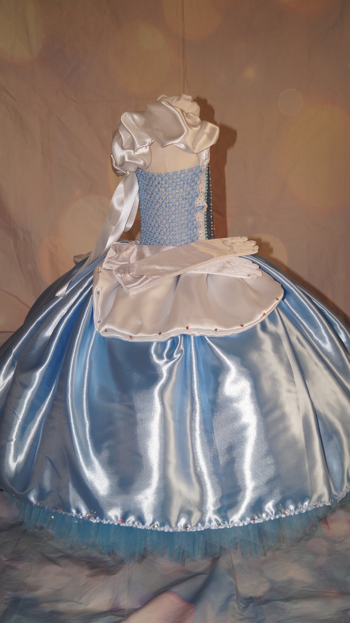 Disney Princess Deluxe Rhinestone Cinderella Tutu Dress