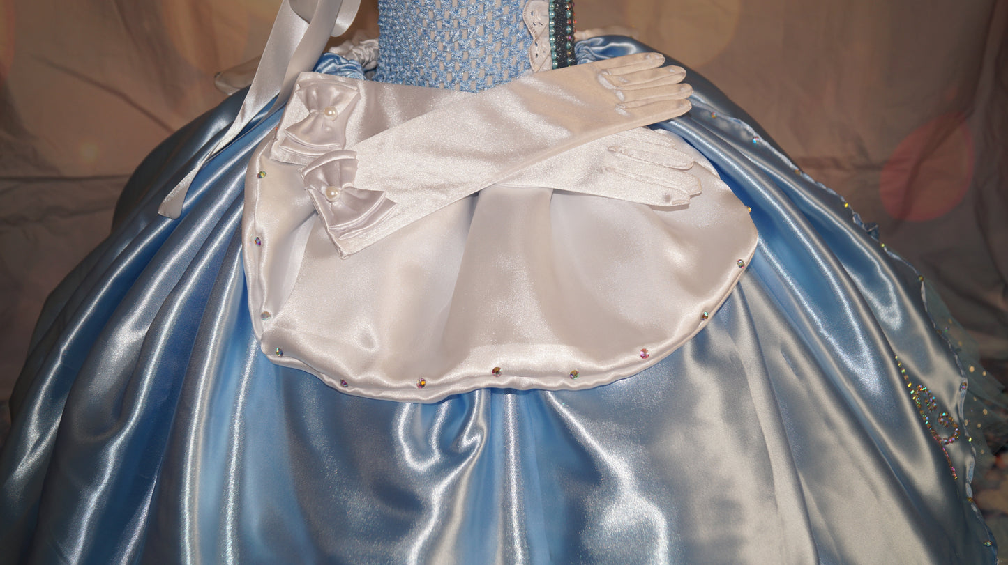 Disney Princess Deluxe Rhinestone Cinderella Tutu Dress